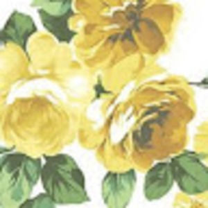 Meet your Posher, Ella